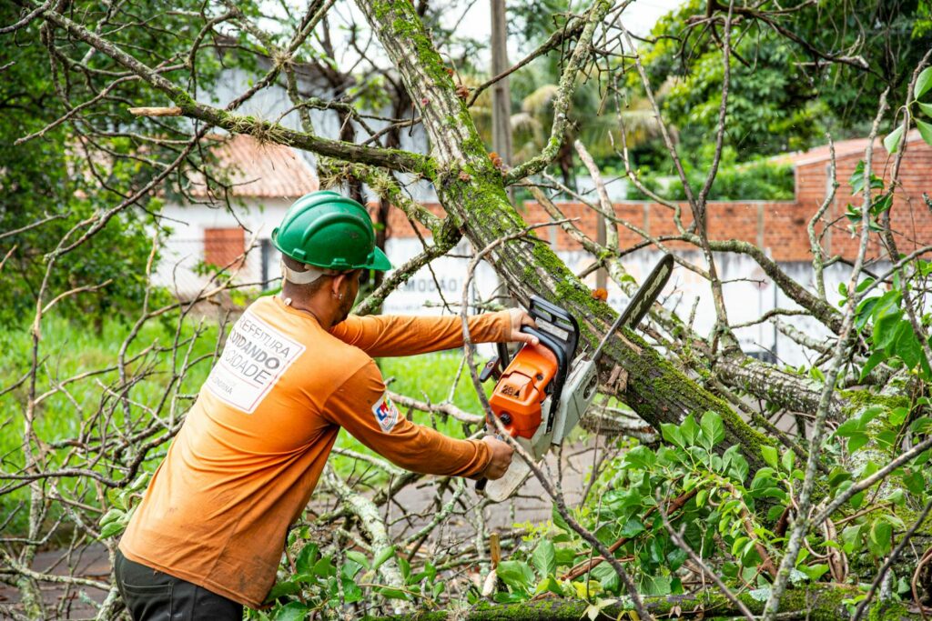 Tree trimming with a chainsaw